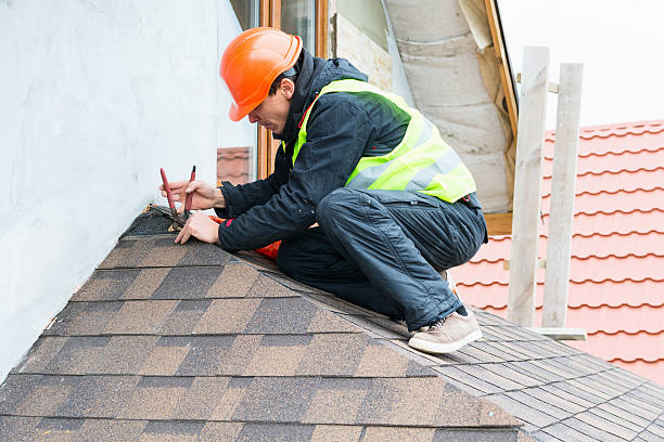 Best Metal Roofing Contractor  in Eagle Butte, SD